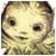 Gregoryces