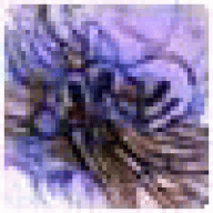 TerrenceVE