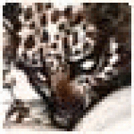 RLDaniel
